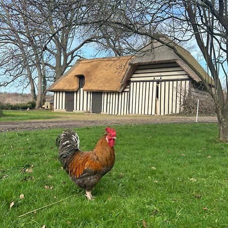 Le Domaine Caribou Bed & Breakfast Sainte-Opportune-la-Mare ภายนอก รูปภาพ
