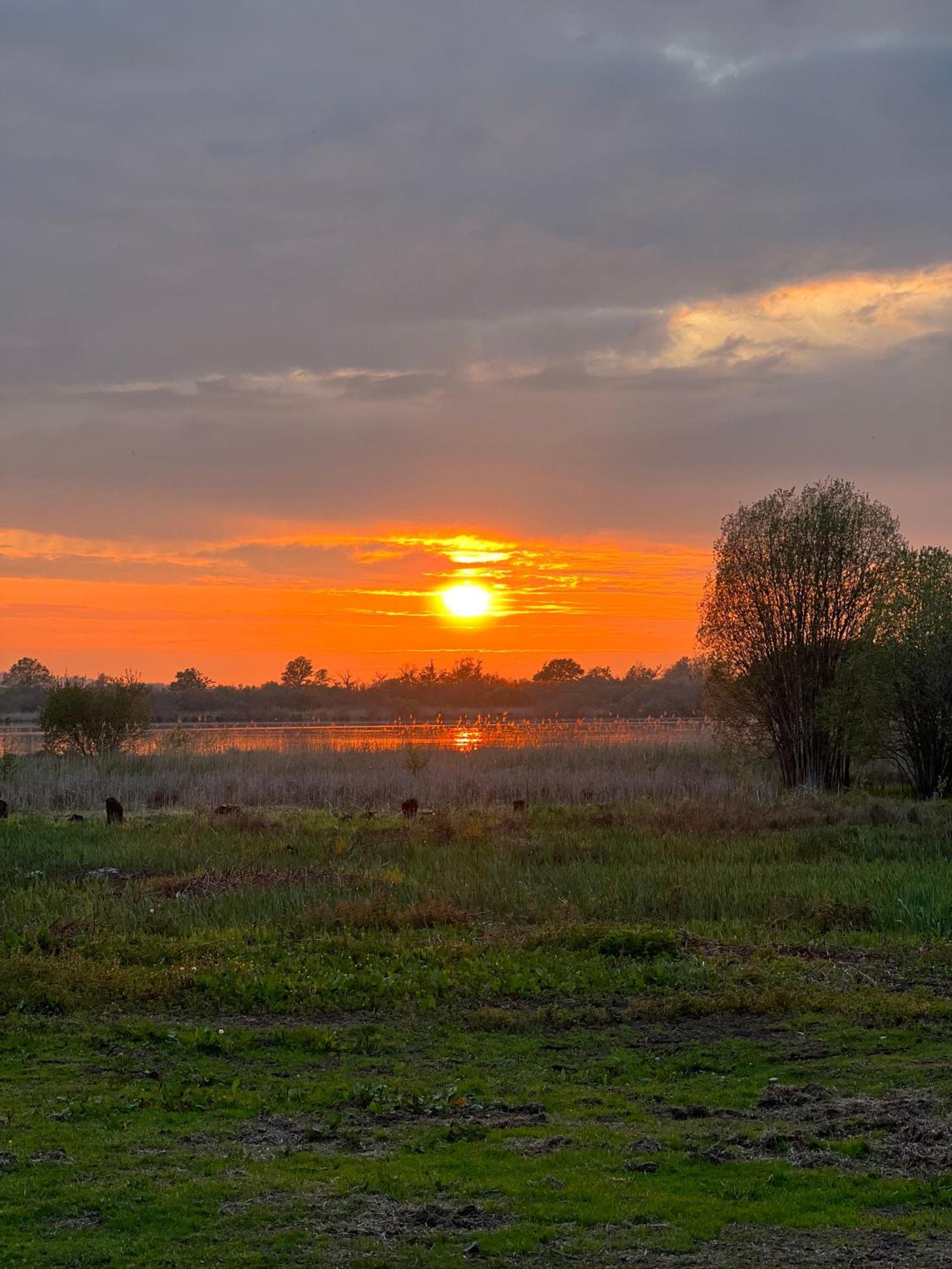 Le Domaine Caribou Bed & Breakfast Sainte-Opportune-la-Mare ภายนอก รูปภาพ